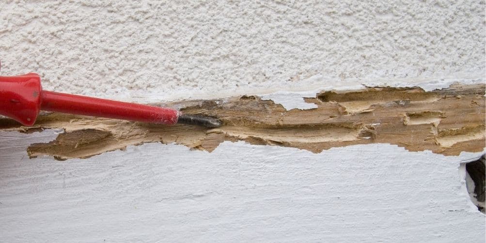 Subcontract Termite Inspection